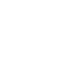 NeuraWaves